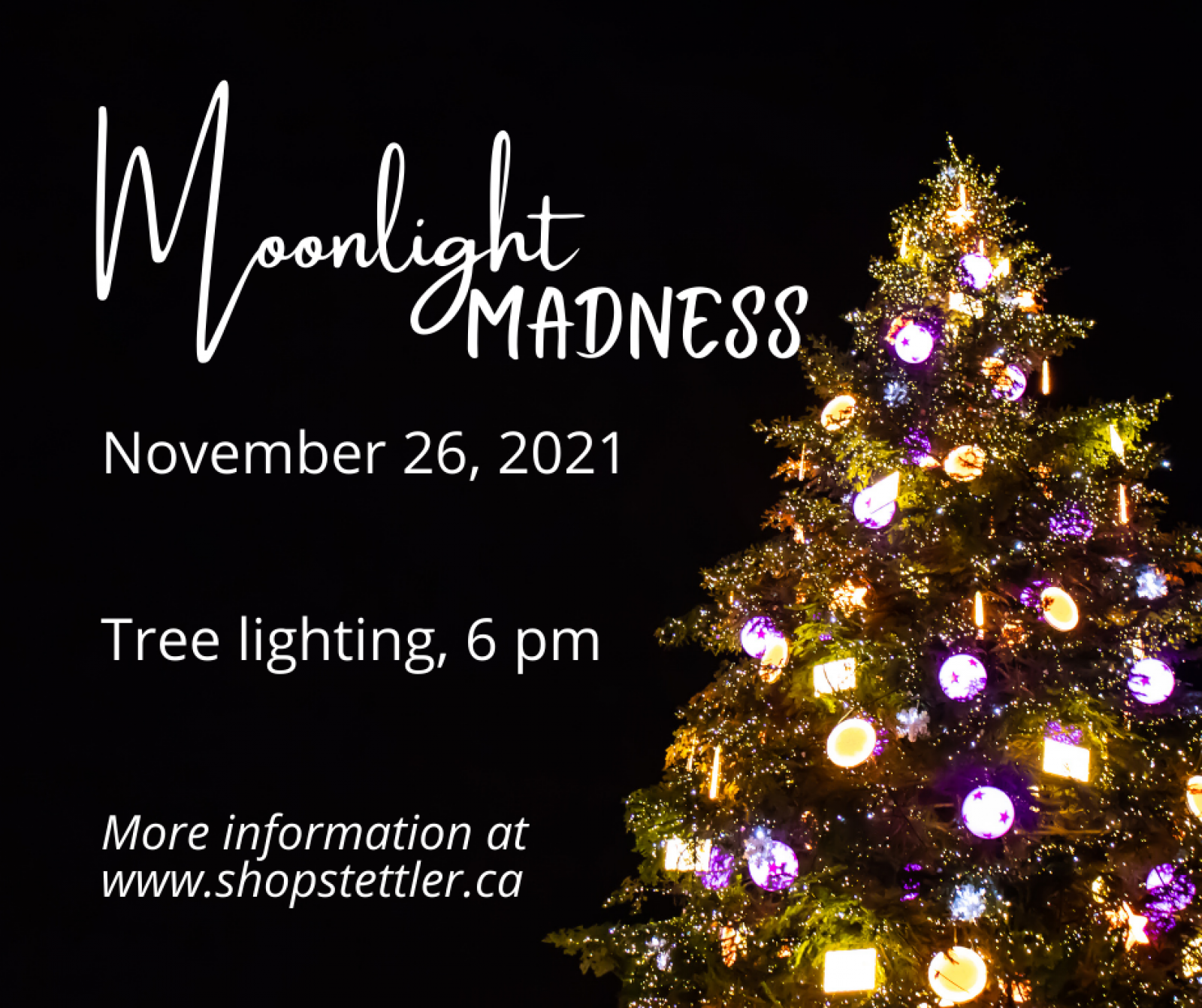 Moonlight madness tree lighting