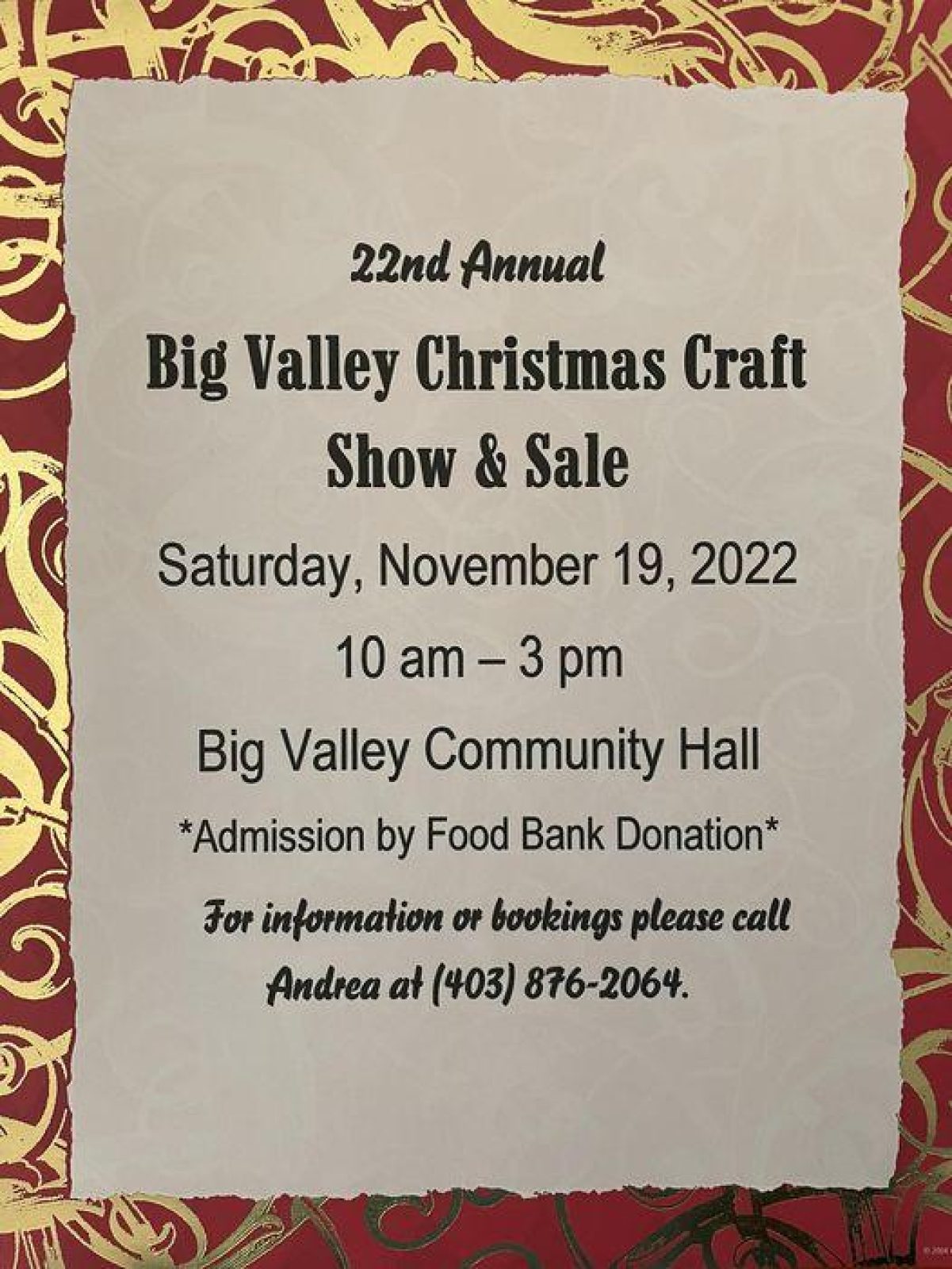 Bv chrismas craft show and sale