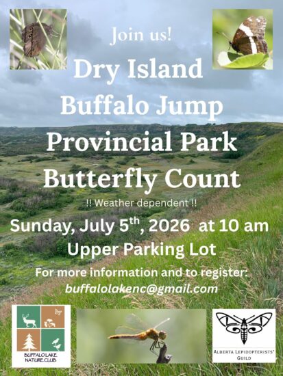 Dry Island Buffalo Jump Butterfly Count 2