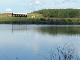 Boehlkes Fish Pond