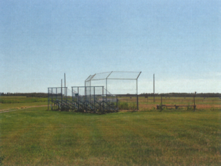 Botha Ball Diamond